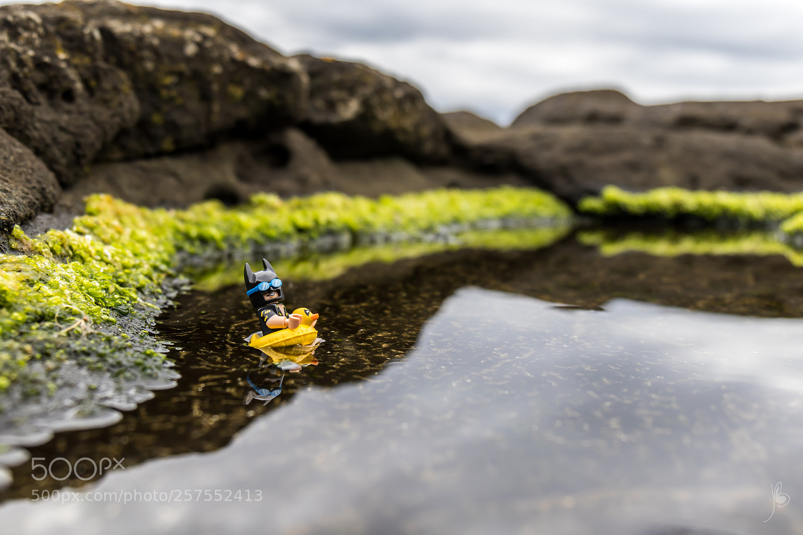 Canon EOS 7D Mark II sample photo. Batman enjoying some holidays photography