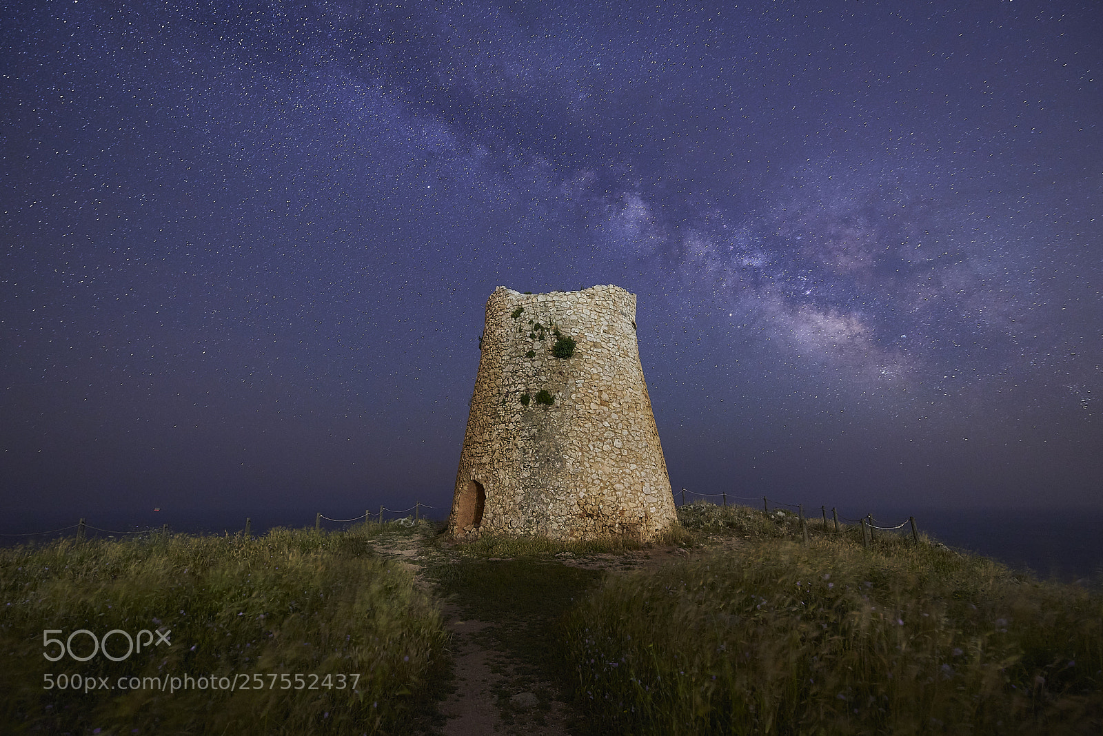 Nikon D750 sample photo. Torre minervino photography