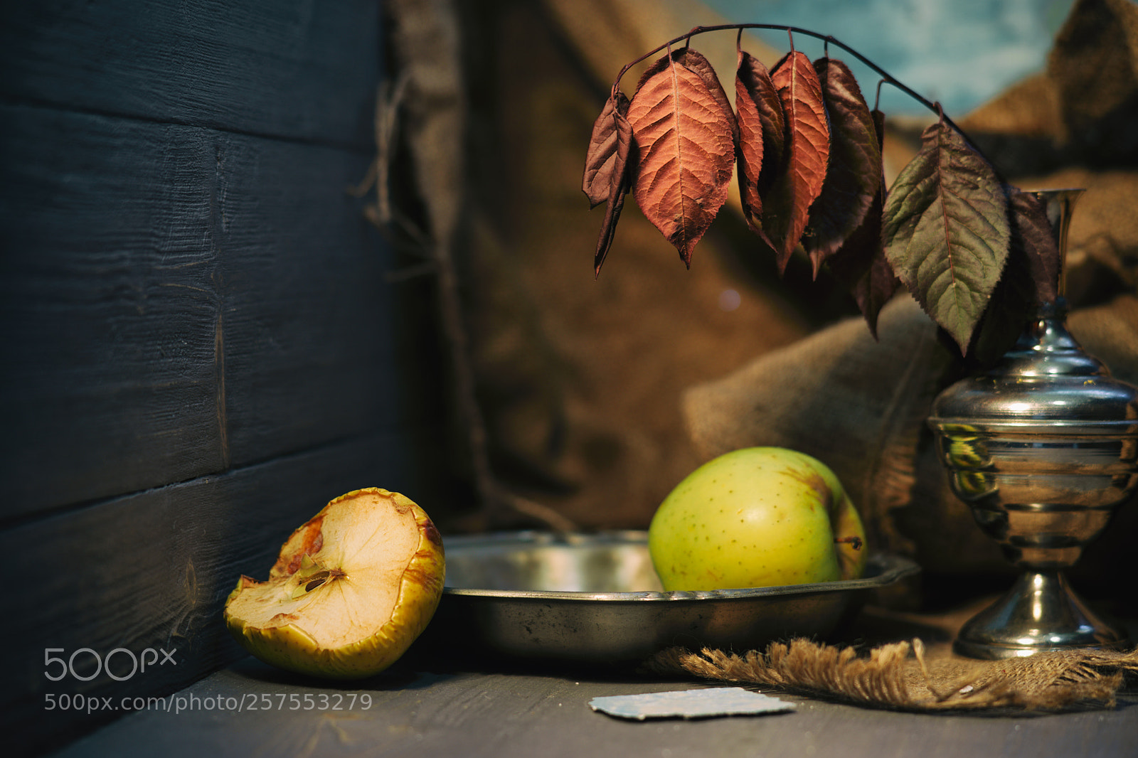 Sony a7 II sample photo. 1/2 photography