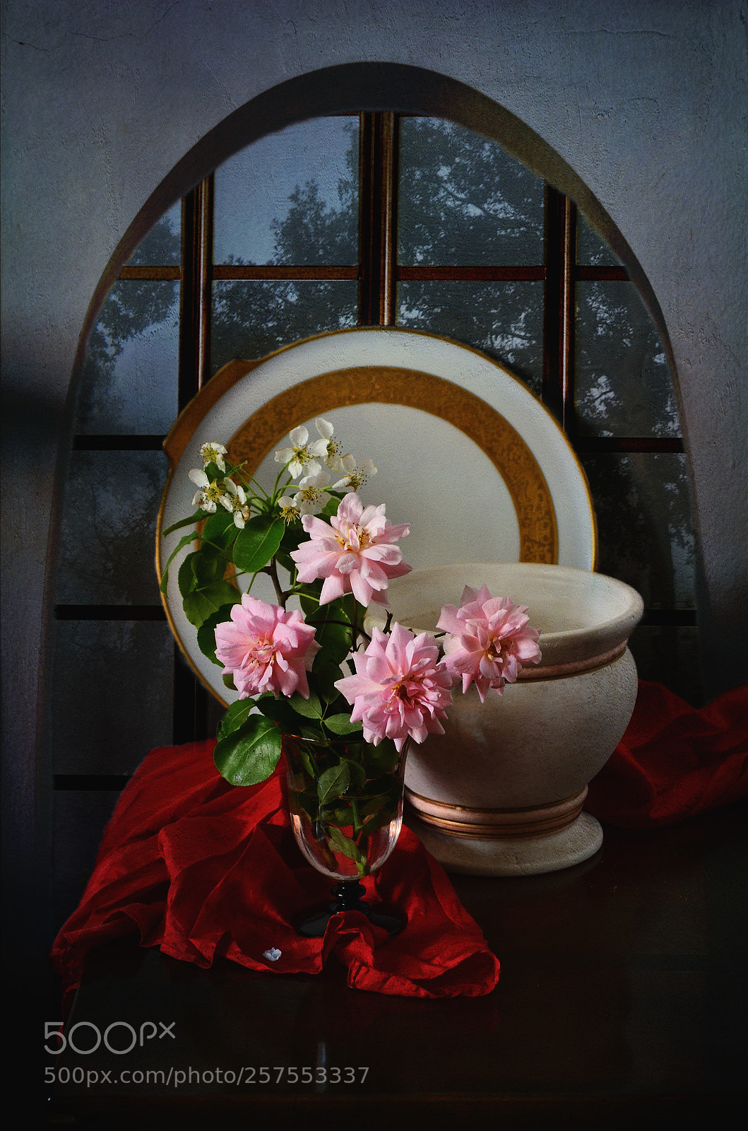 Nikon D5100 sample photo. Roses in moonlight photography