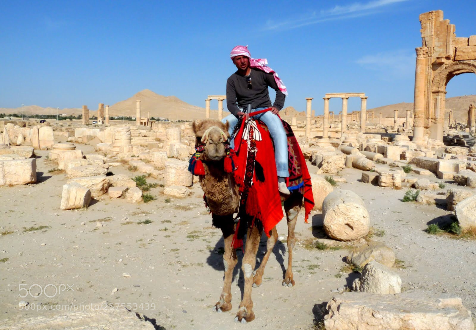 Panasonic Lumix DMC-FZ28 sample photo. Camel rider photography