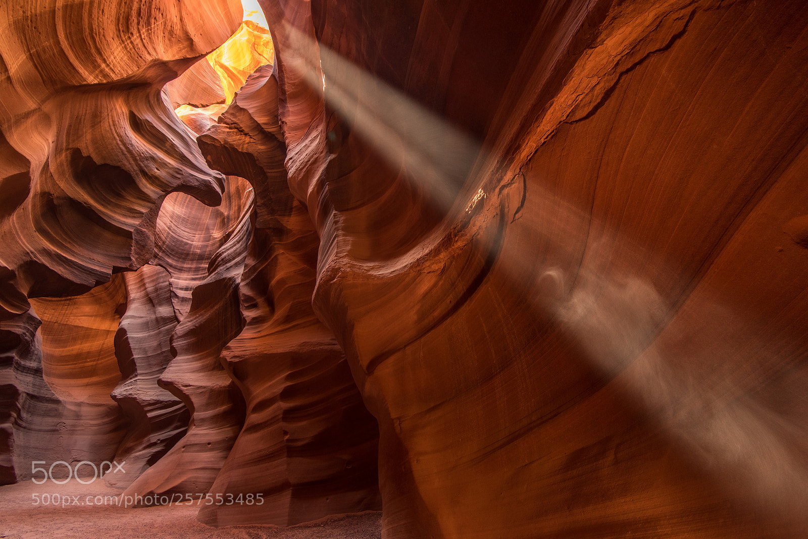 Nikon D810 sample photo. Little ghost photography