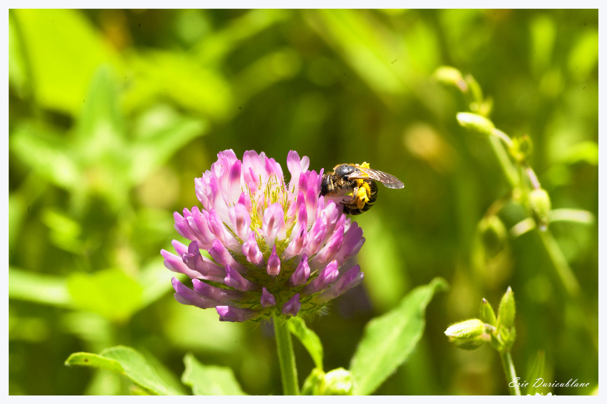 Canon EOS-1D Mark II sample photo