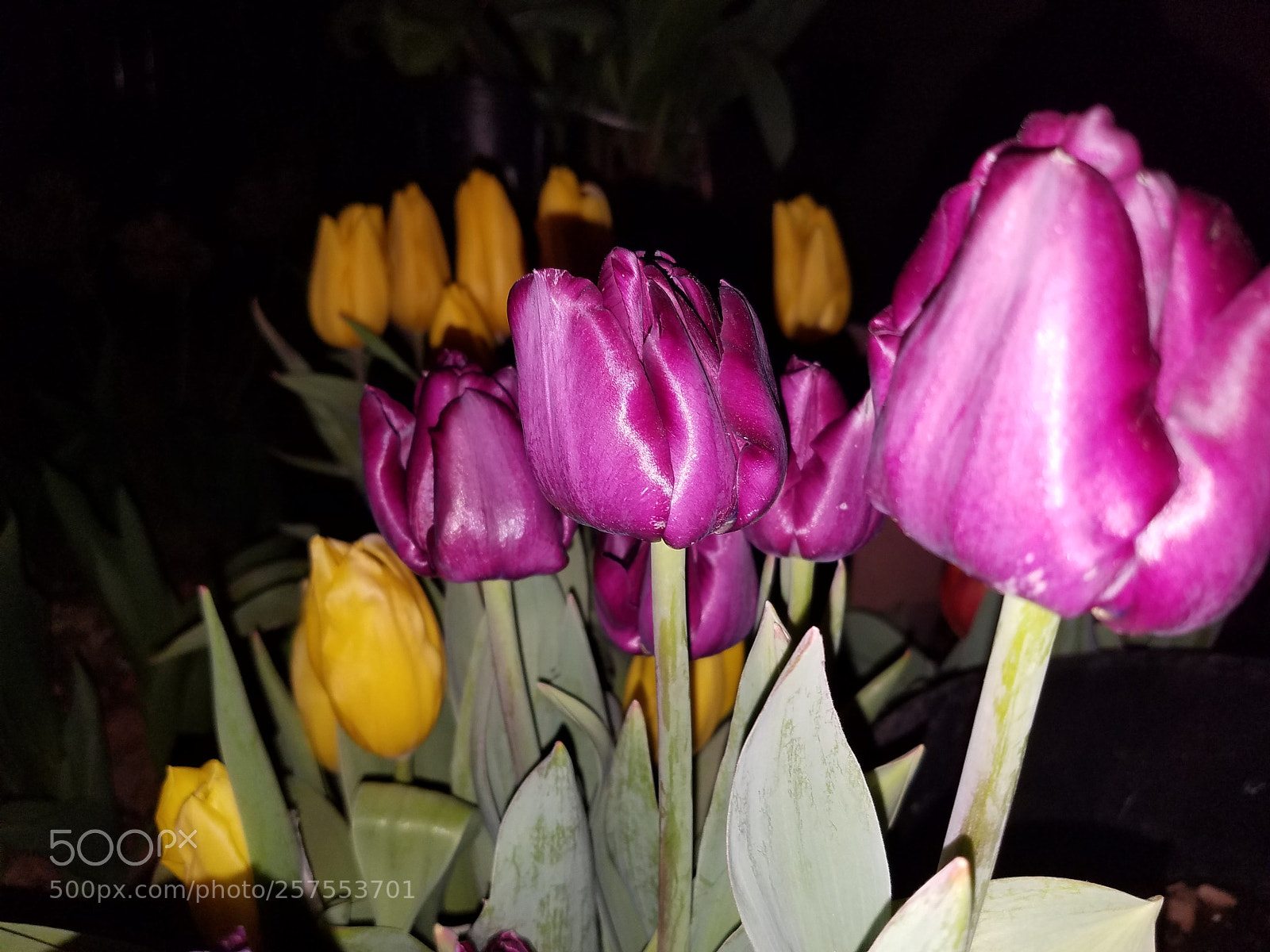 Samsung Galaxy S7 sample photo. In the night photography