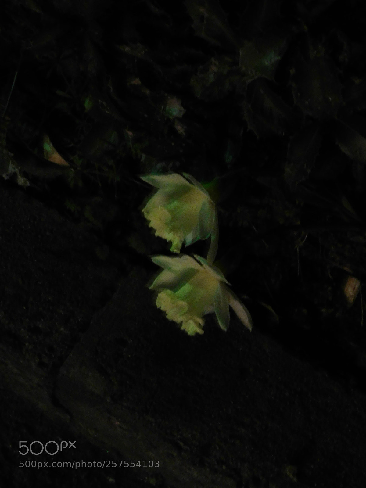 Nikon Coolpix B500 sample photo. Night illusion photography