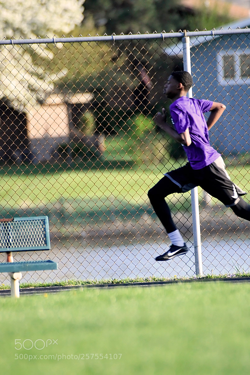 Nikon D500 sample photo. 5-7_0799.jpg photography