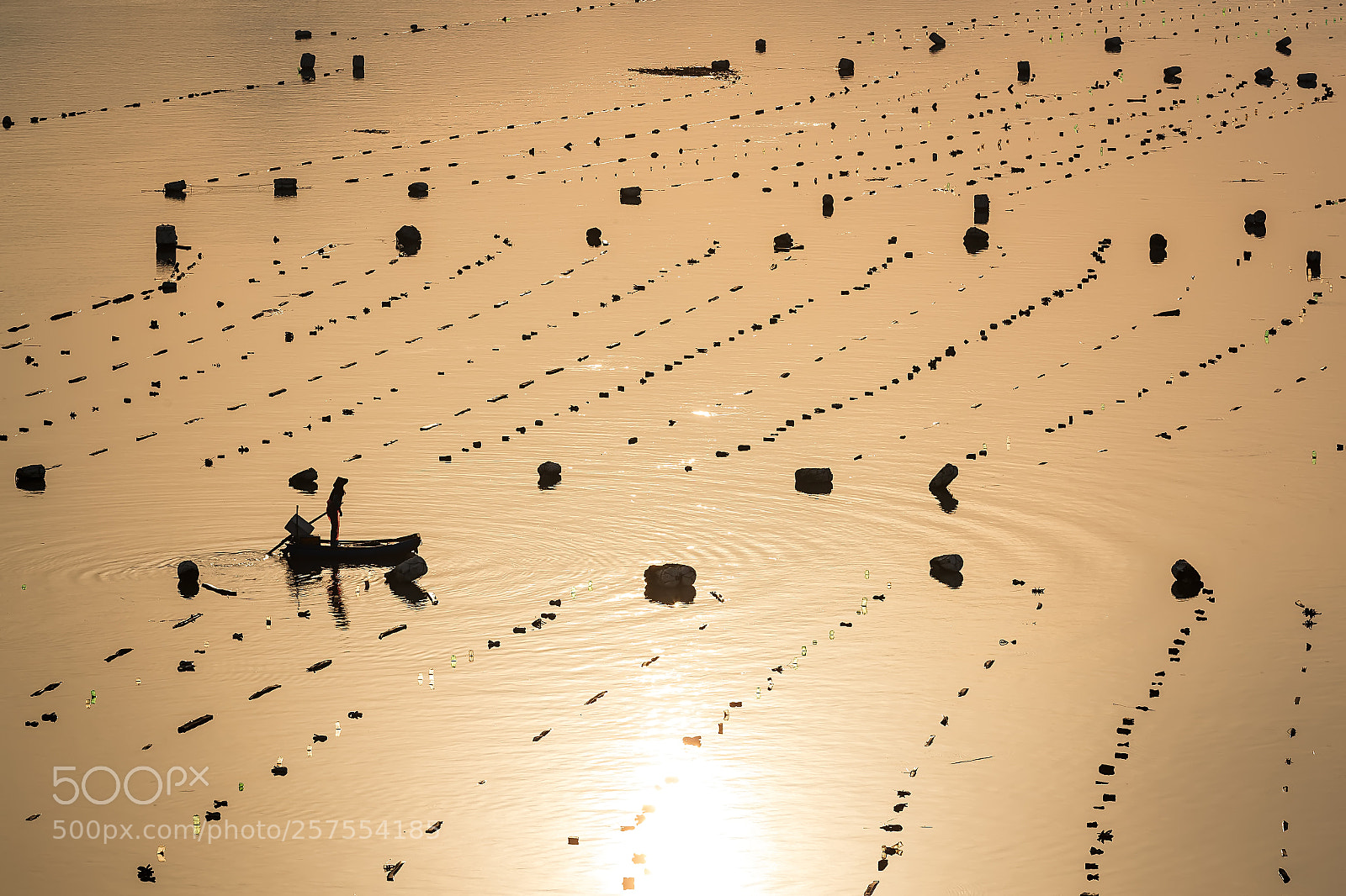 Canon EOS-1D X Mark II sample photo. Ningde shi xiapu photography