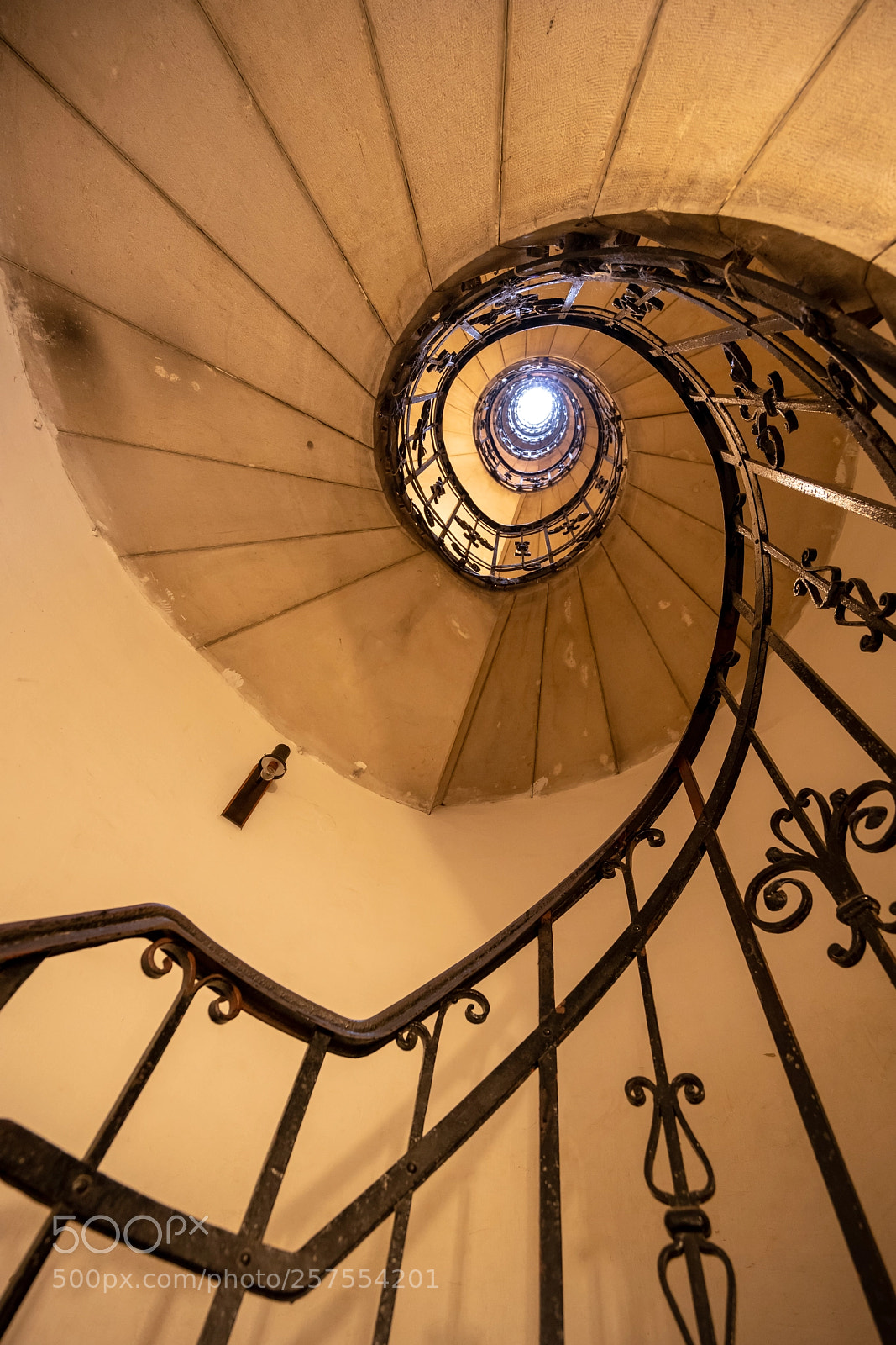 Sony a7R III sample photo. Golden spiral photography