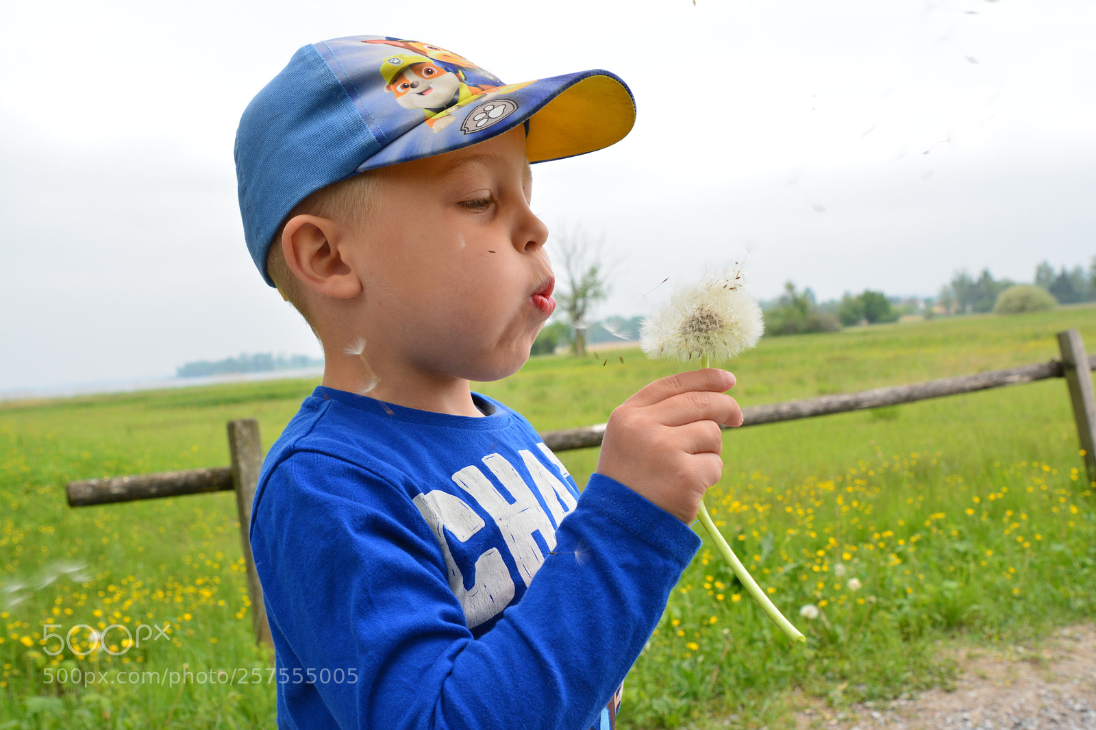 Nikon D7100 sample photo. Naythan lennox flowerpower photography