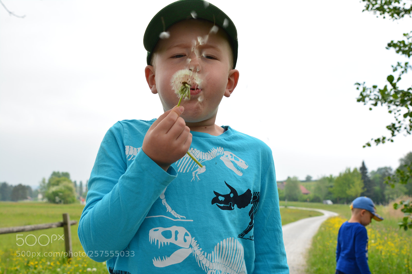 Nikon D7100 sample photo. Maddox wyat 
flowerpower photography