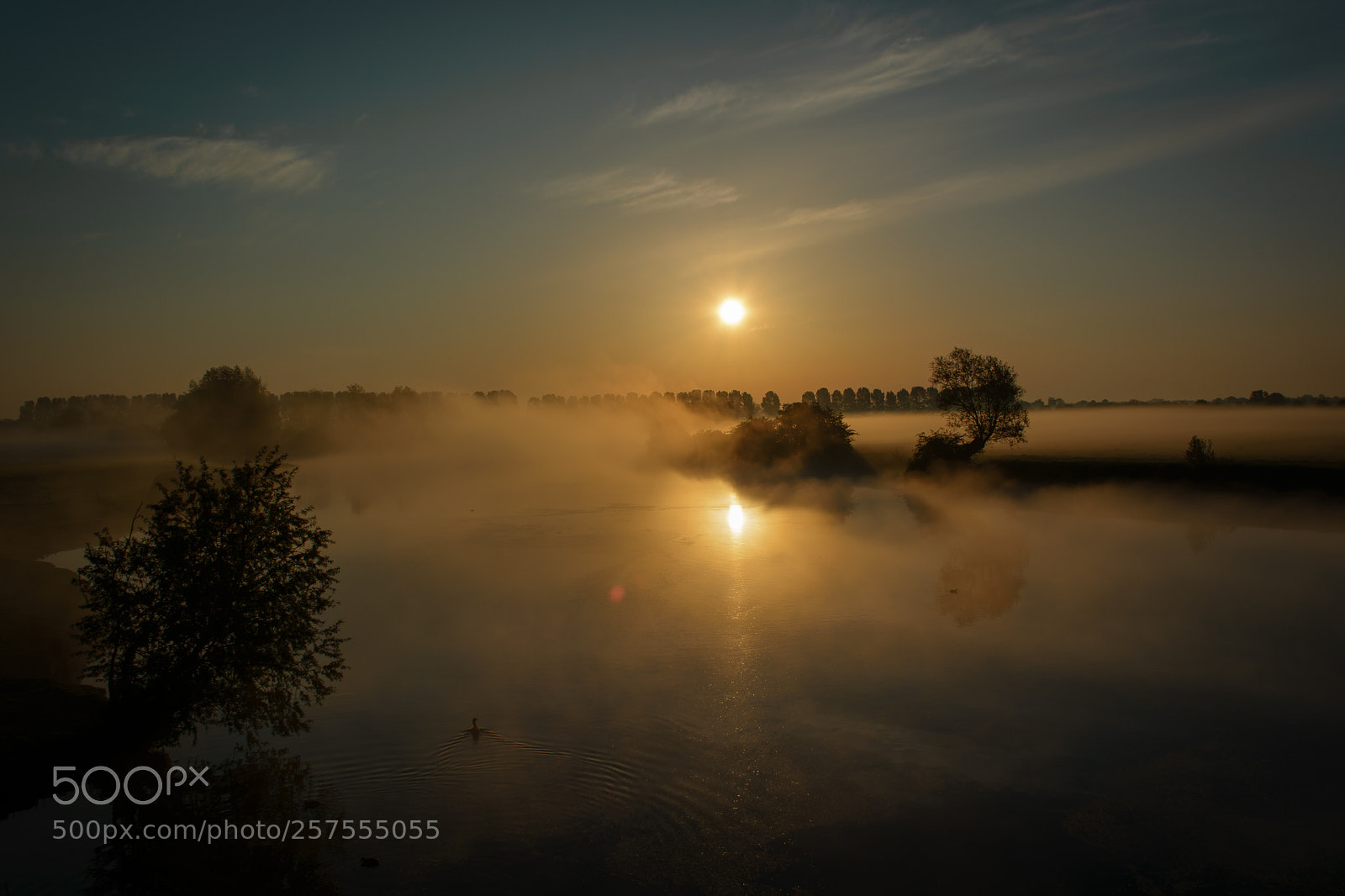 Nikon D5200 sample photo. Golden morning photography