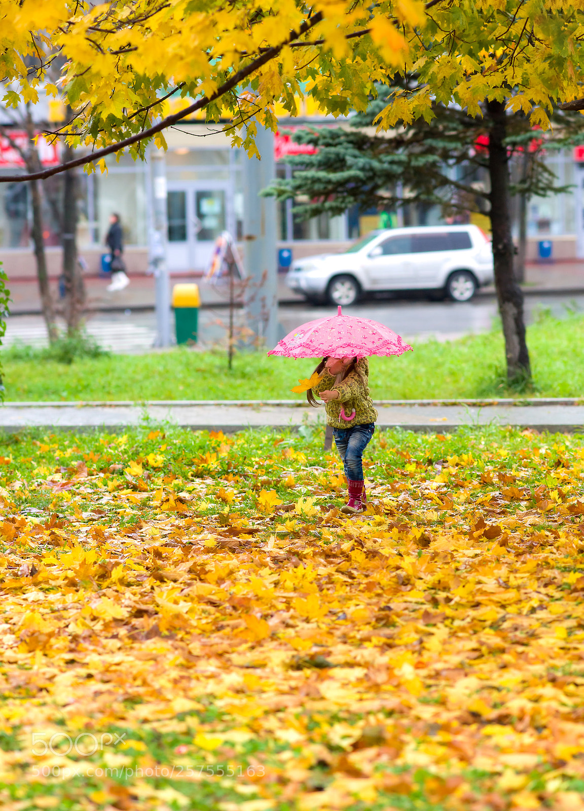 Sony Alpha DSLR-A850 sample photo. Autumn leaf for the photography