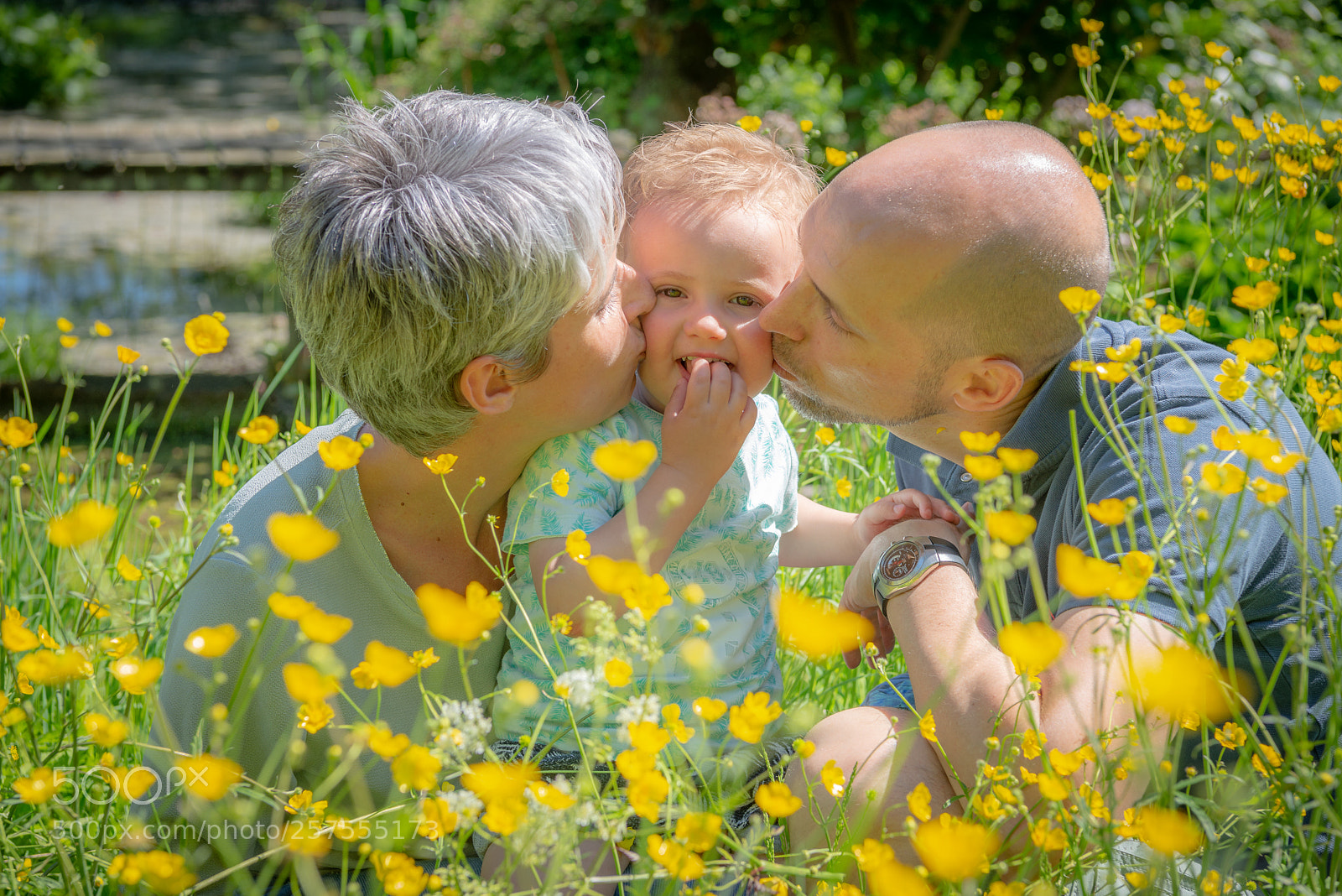 Nikon D800 sample photo. Affections photography