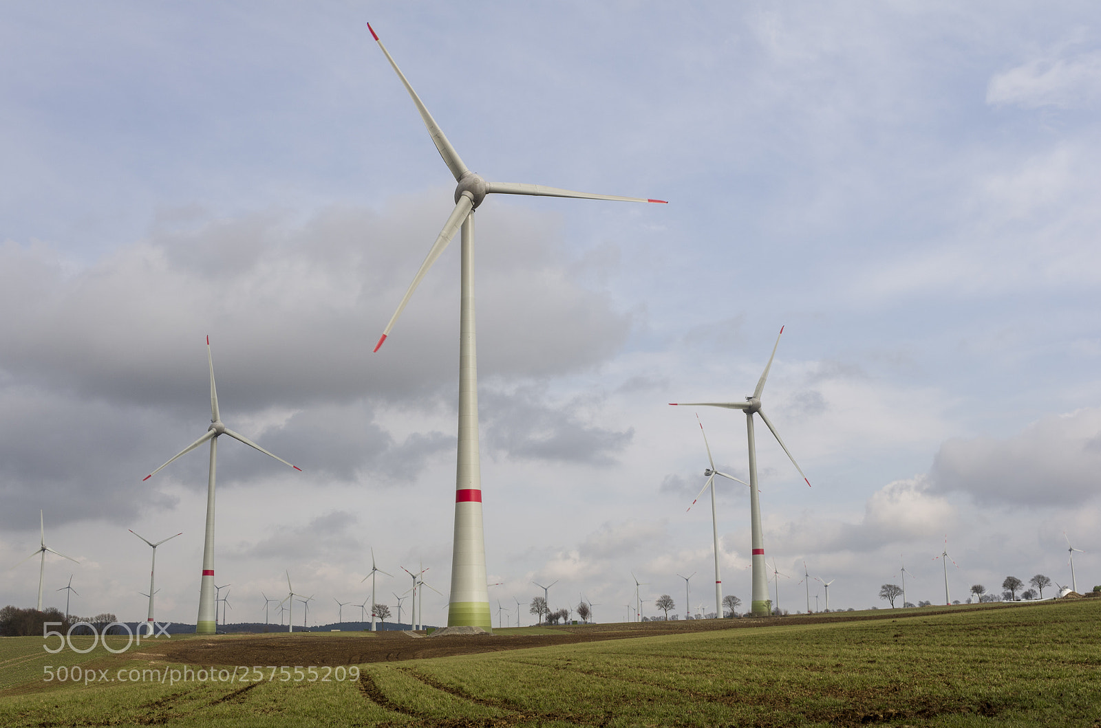 Pentax K-5 sample photo. Power of the wind photography