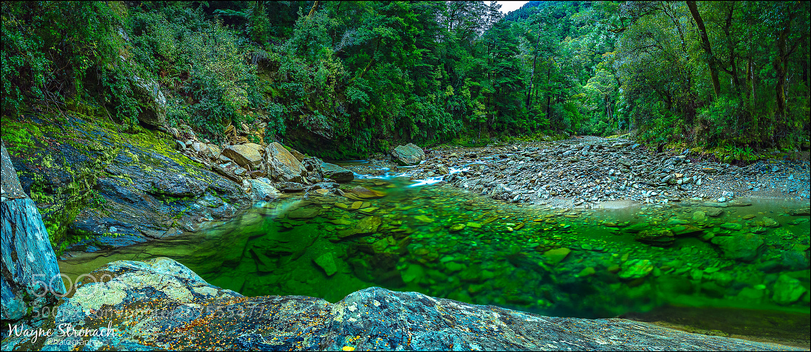 Olympus OM-D E-M10 II sample photo. Timms creek, nothbank, marlborough photography