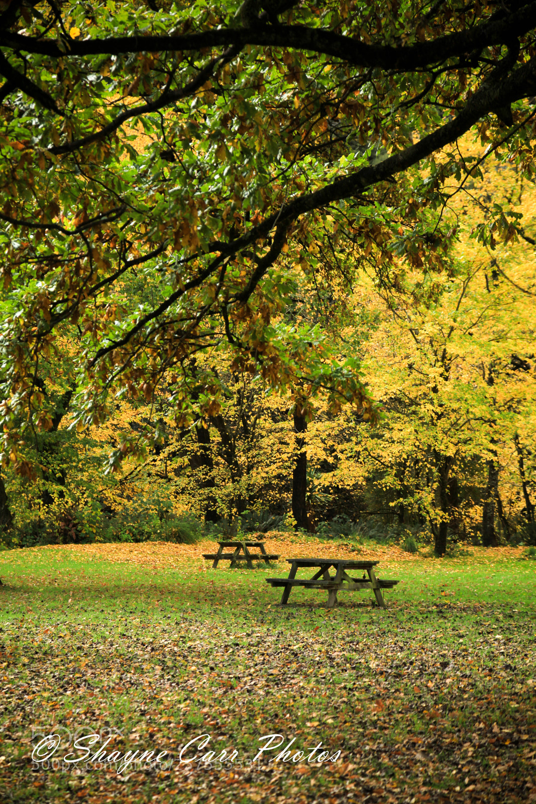 Canon EOS 5D Mark II sample photo. Mt stuart reserve, milton photography