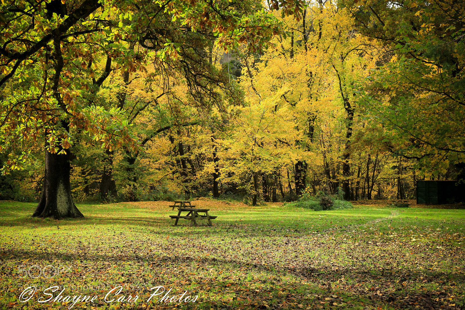 Canon EOS 5D Mark II sample photo. Mt stuart reserve, milton photography