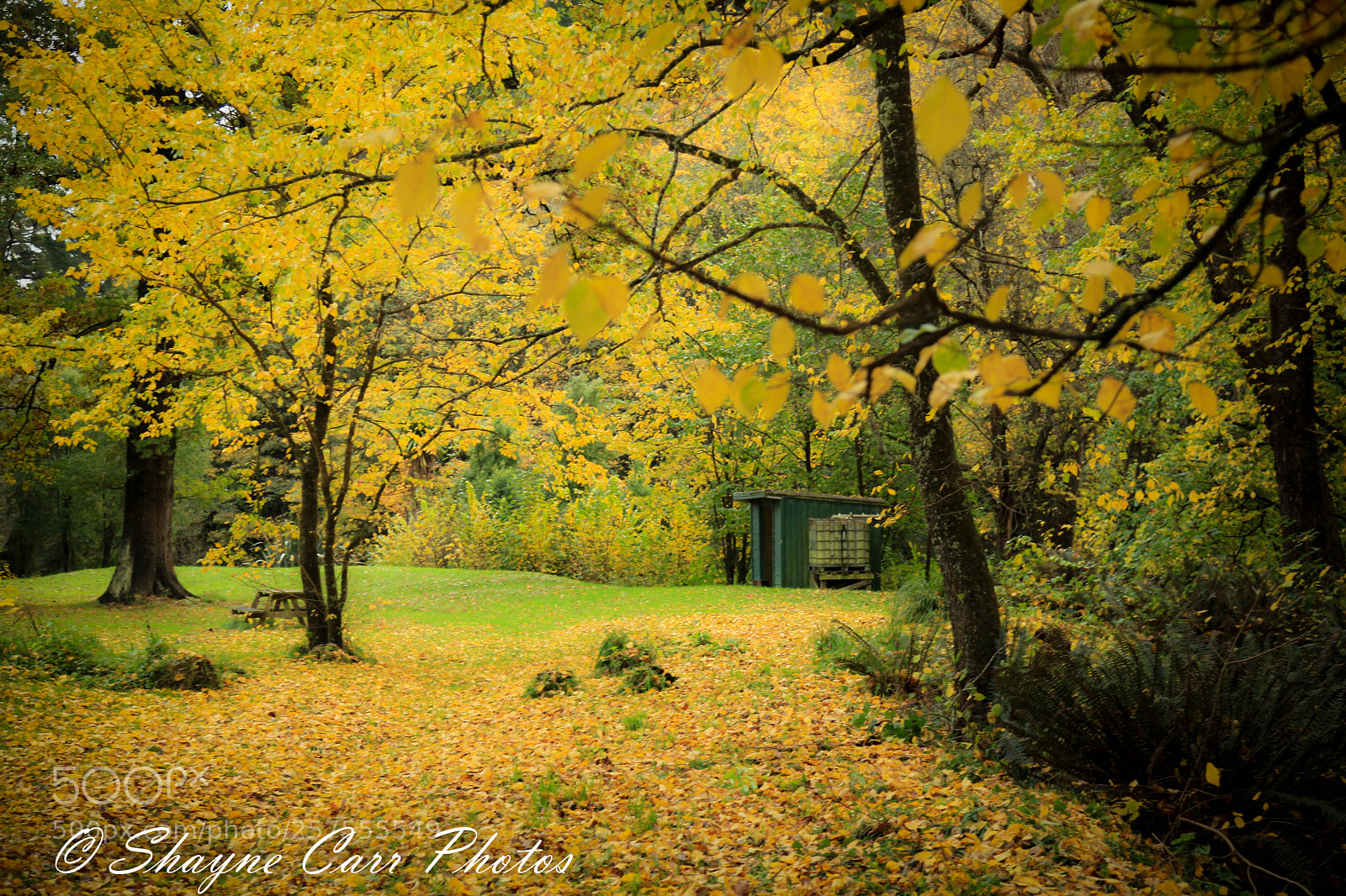 Canon EOS 5D Mark II sample photo. Mt stuart reserve, milton photography