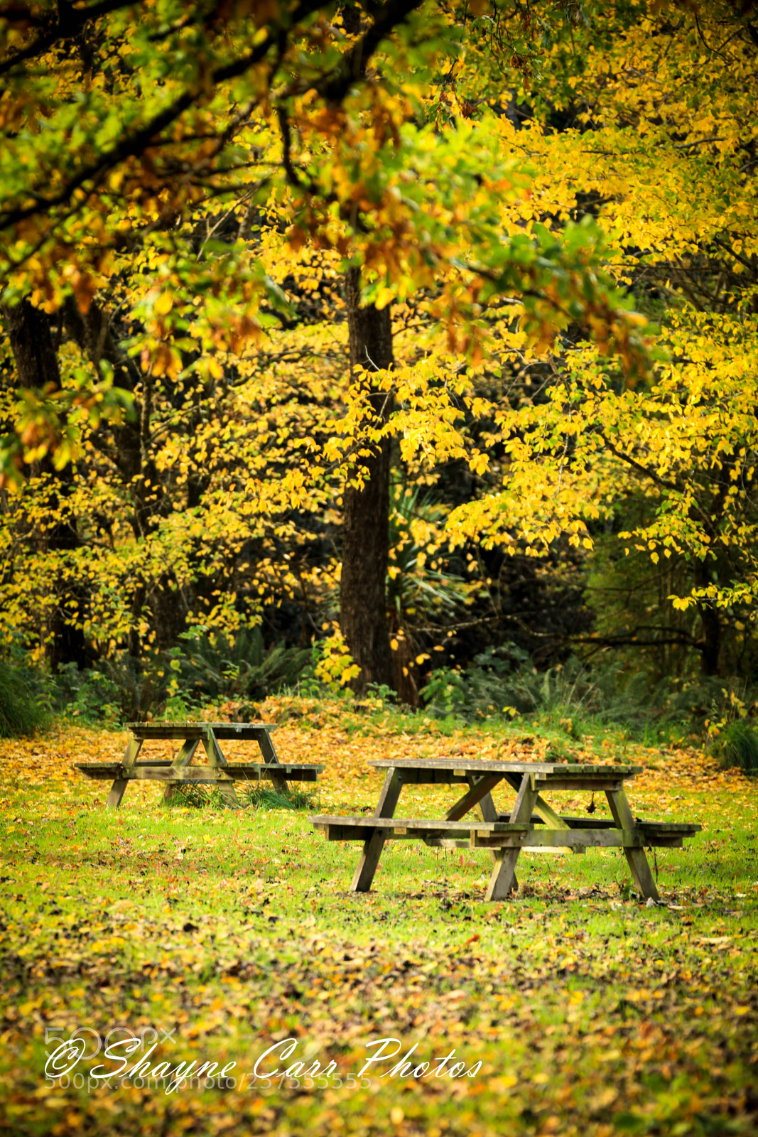 Canon EOS 5D Mark II sample photo. Mt stuart reserve, milton photography