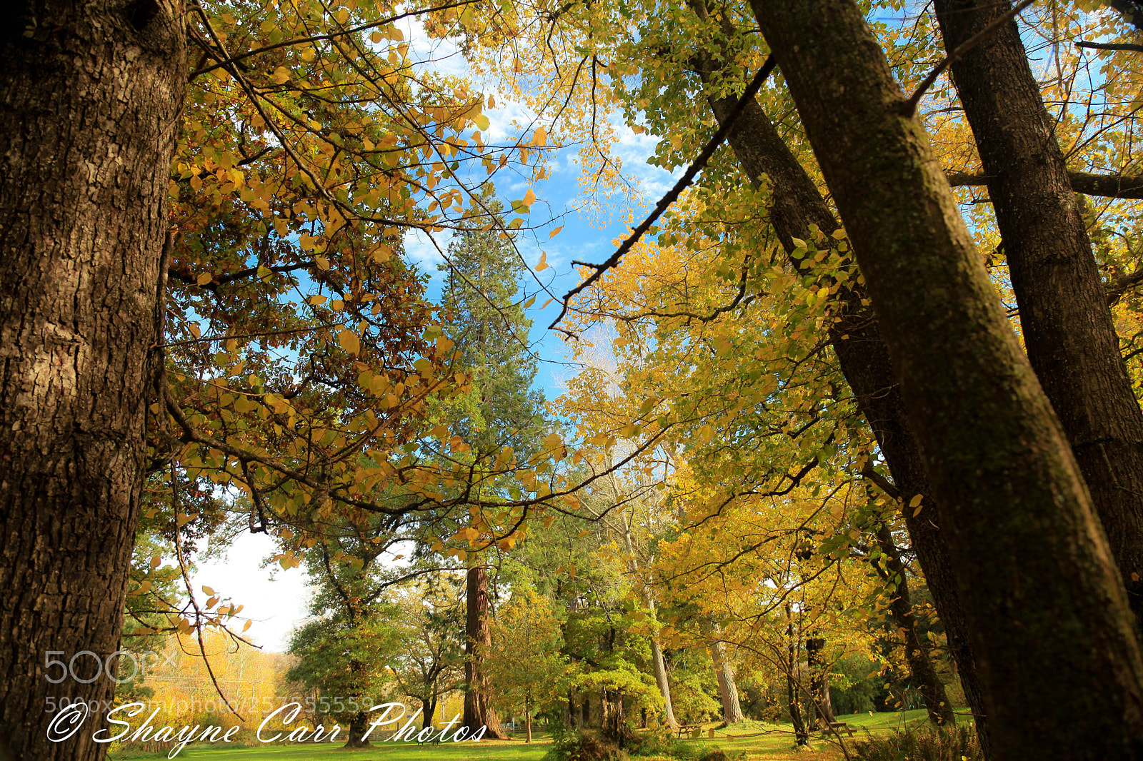 Canon EOS 5D Mark II sample photo. Mt stuart reserve, milton photography