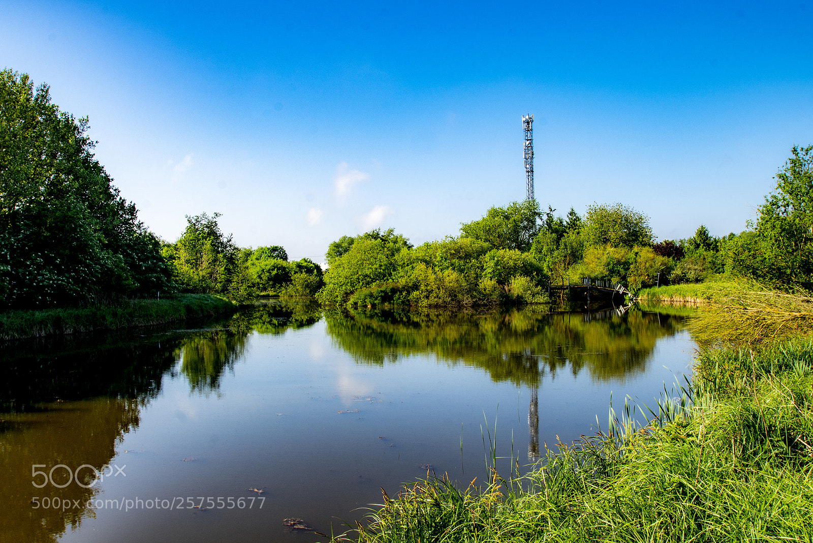 Sony a99 II sample photo. _dsc1376-2.jpg photography