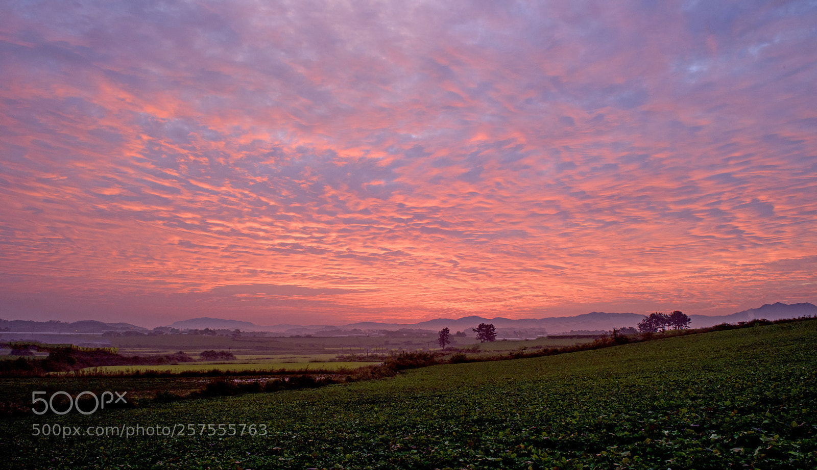 Nikon D810 sample photo. Sunrise over countryside photography