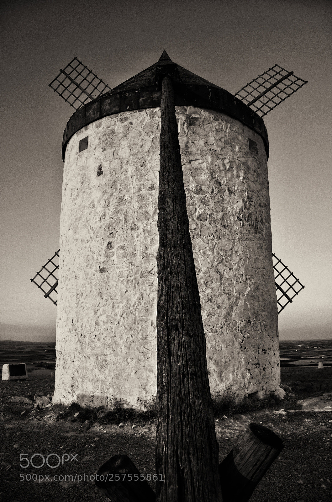 Nikon D5100 sample photo. Gigante manchego photography