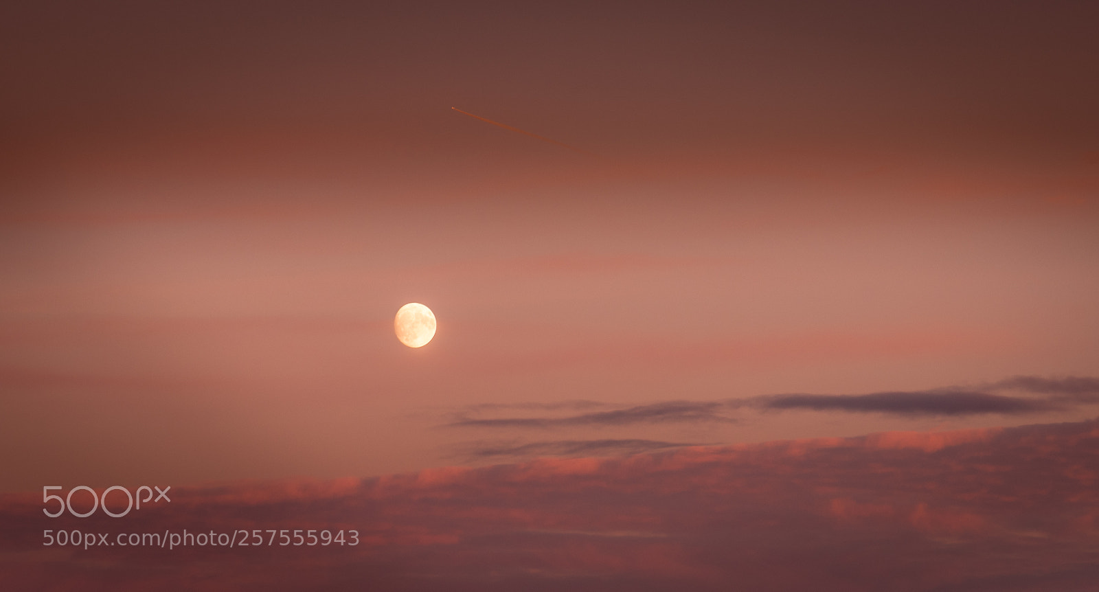 Nikon D750 sample photo. Moon bathed in sun photography