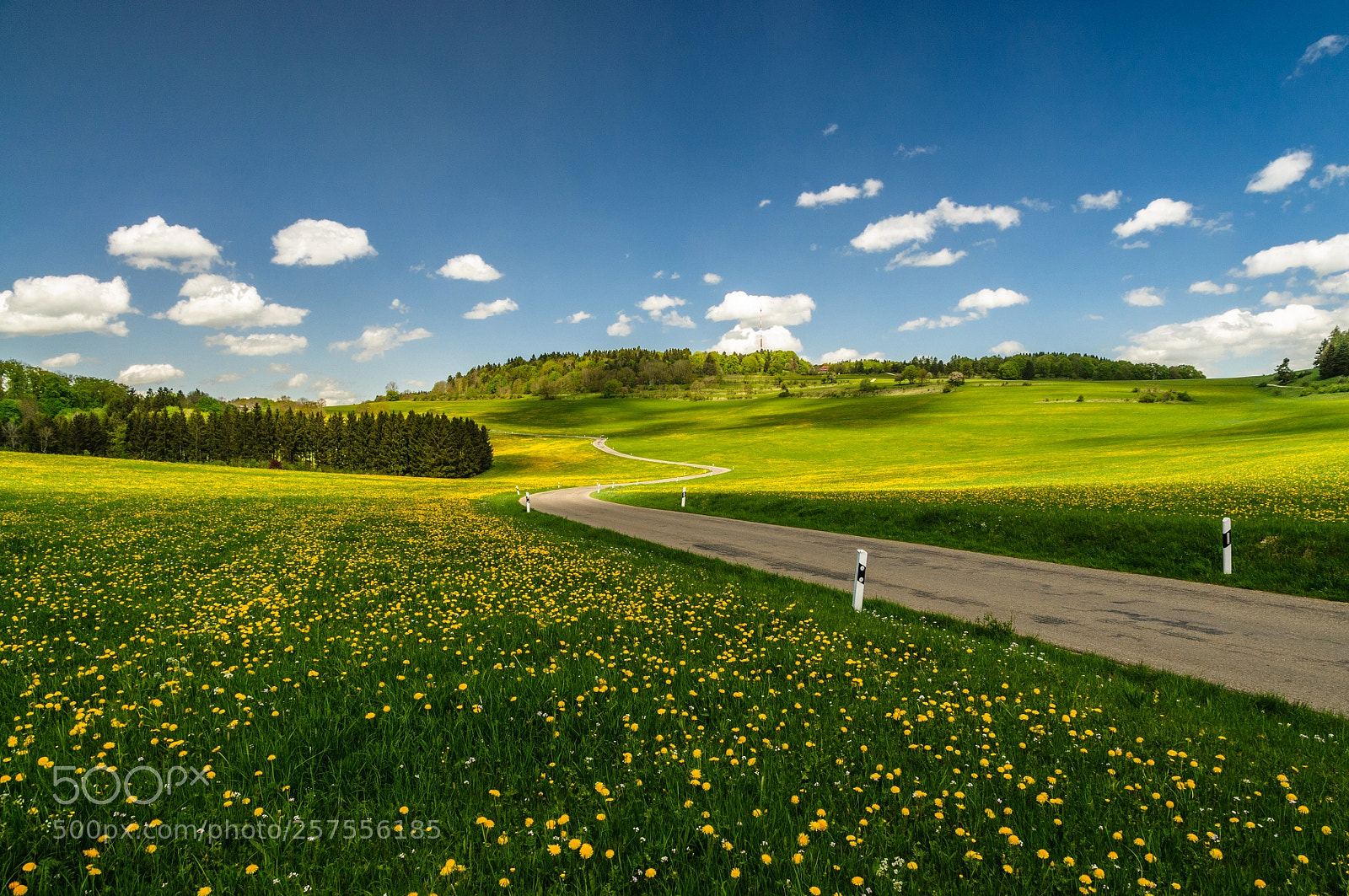 Nikon D300S sample photo. ...zum zeller horn. photography