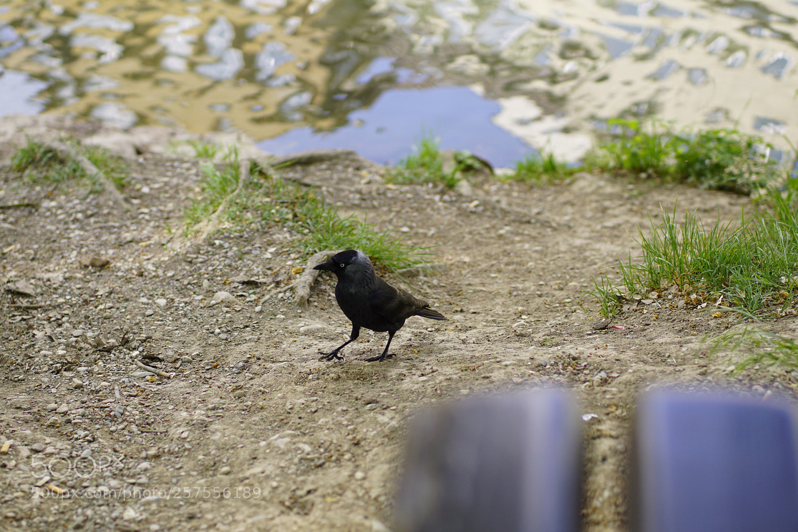 Sony ILCA-77M2 sample photo. Tübingen, germany  photography