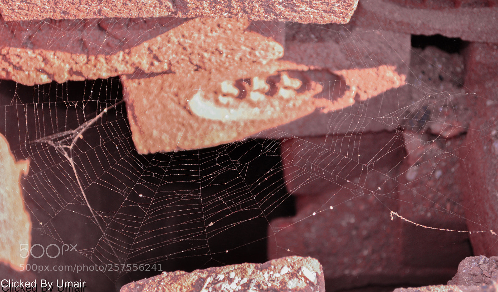 Nikon D3000 sample photo. () photography