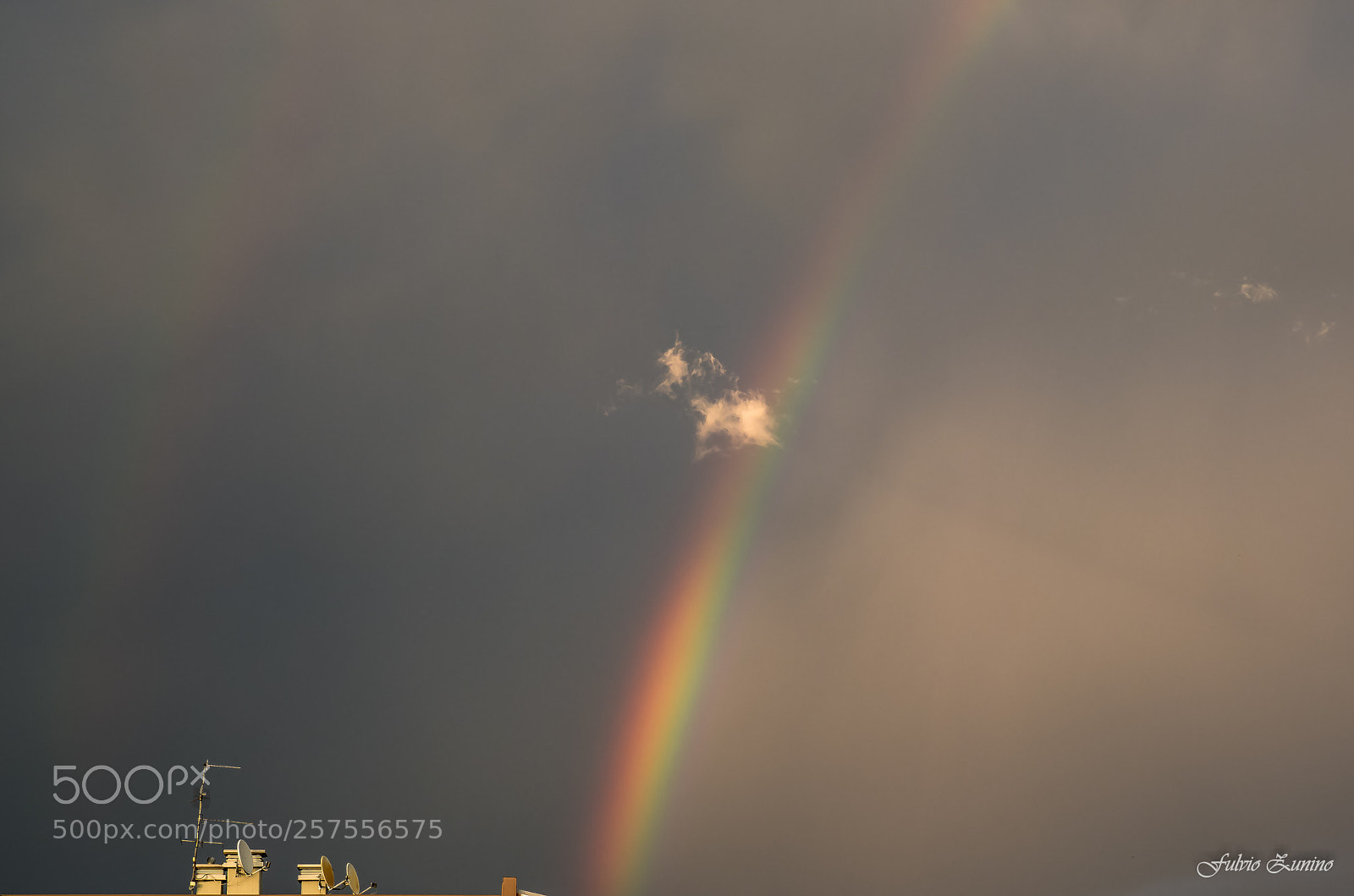 Olympus OM-D E-M1 Mark II sample photo. Rainbow photography