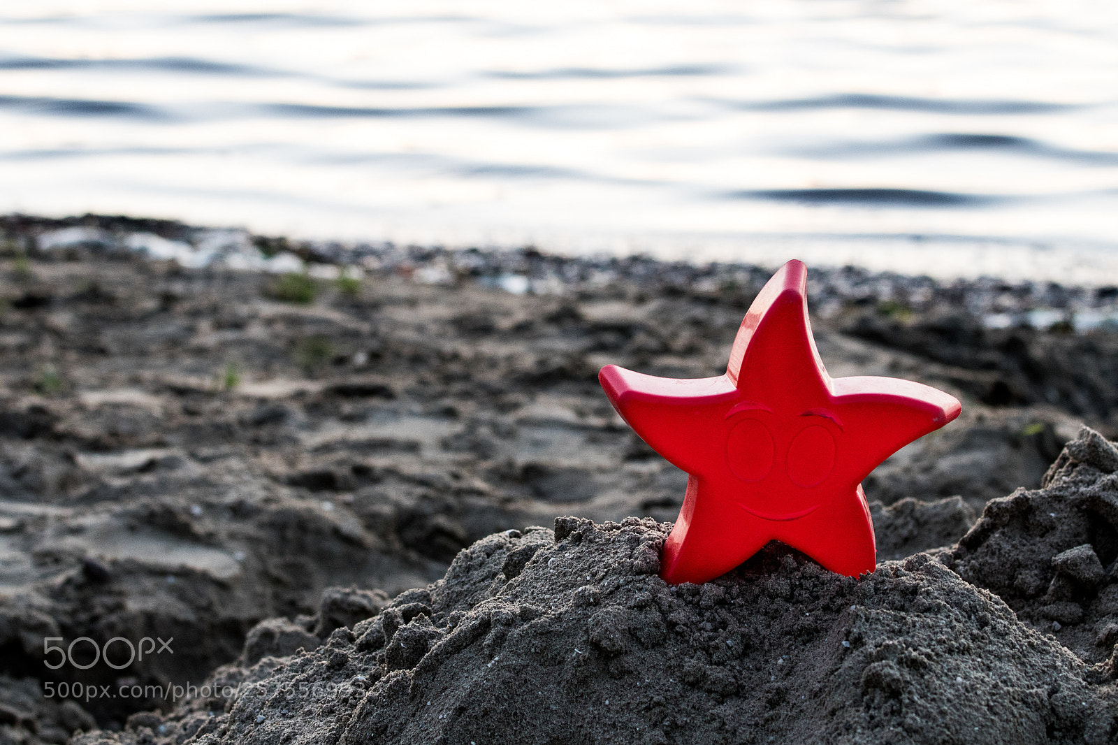 Canon EOS 77D (EOS 9000D / EOS 770D) sample photo. Each star is a photography