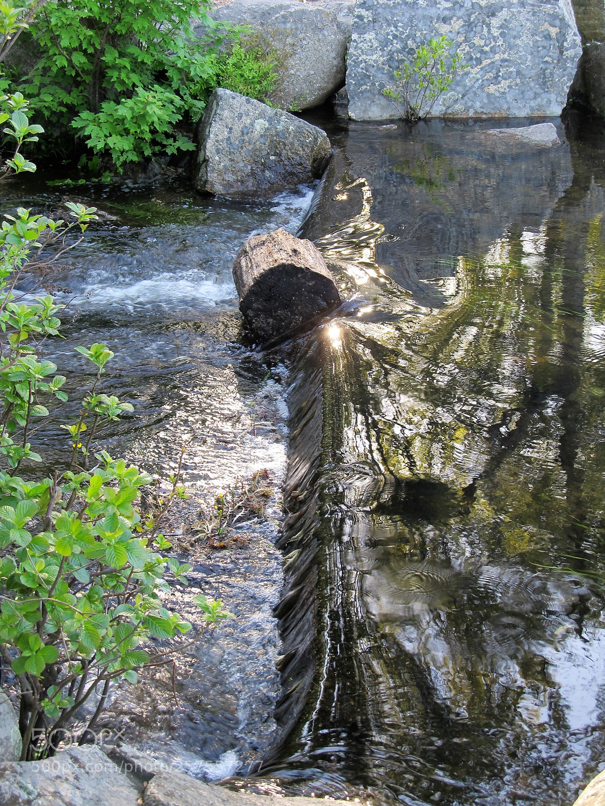 Canon PowerShot SX130 IS sample photo. Curved reflections photography