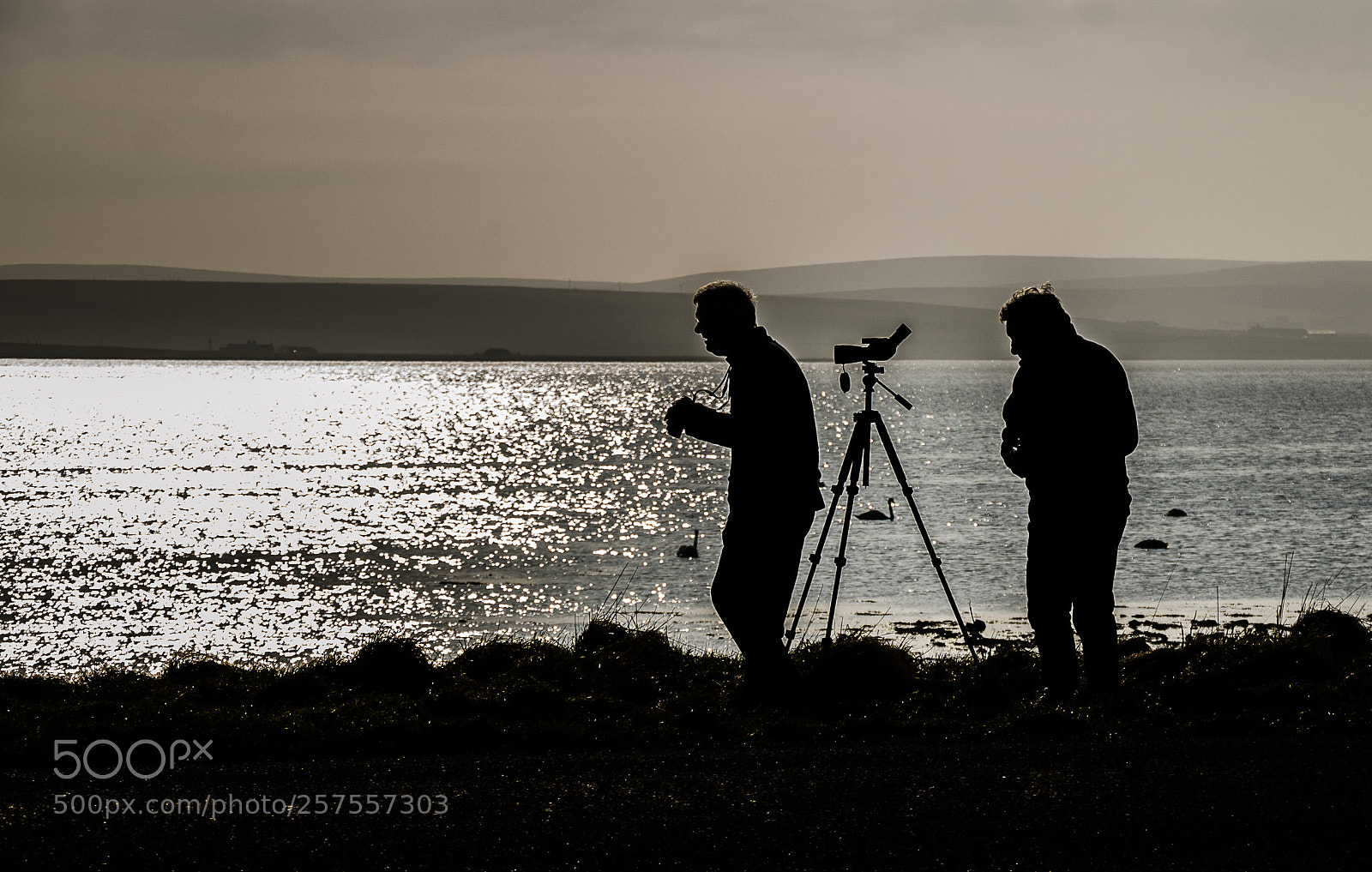Nikon D7000 sample photo. Birdwatchers photography