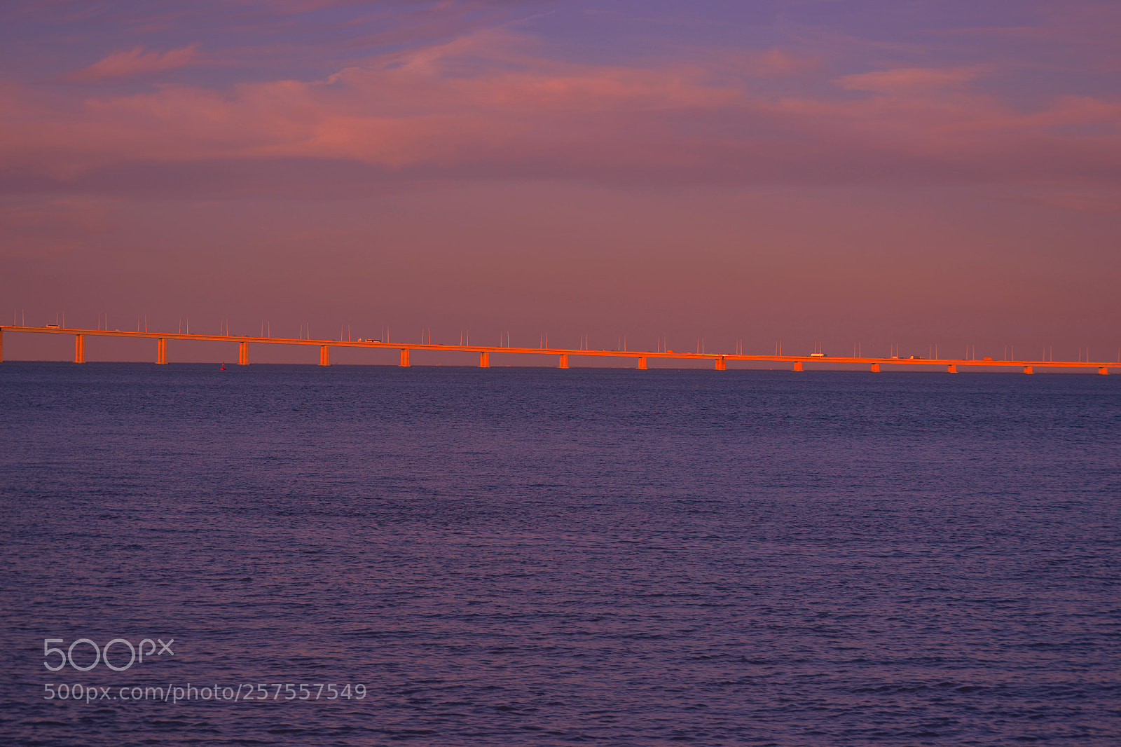 Nikon D3100 sample photo. Puente vasco da gama photography