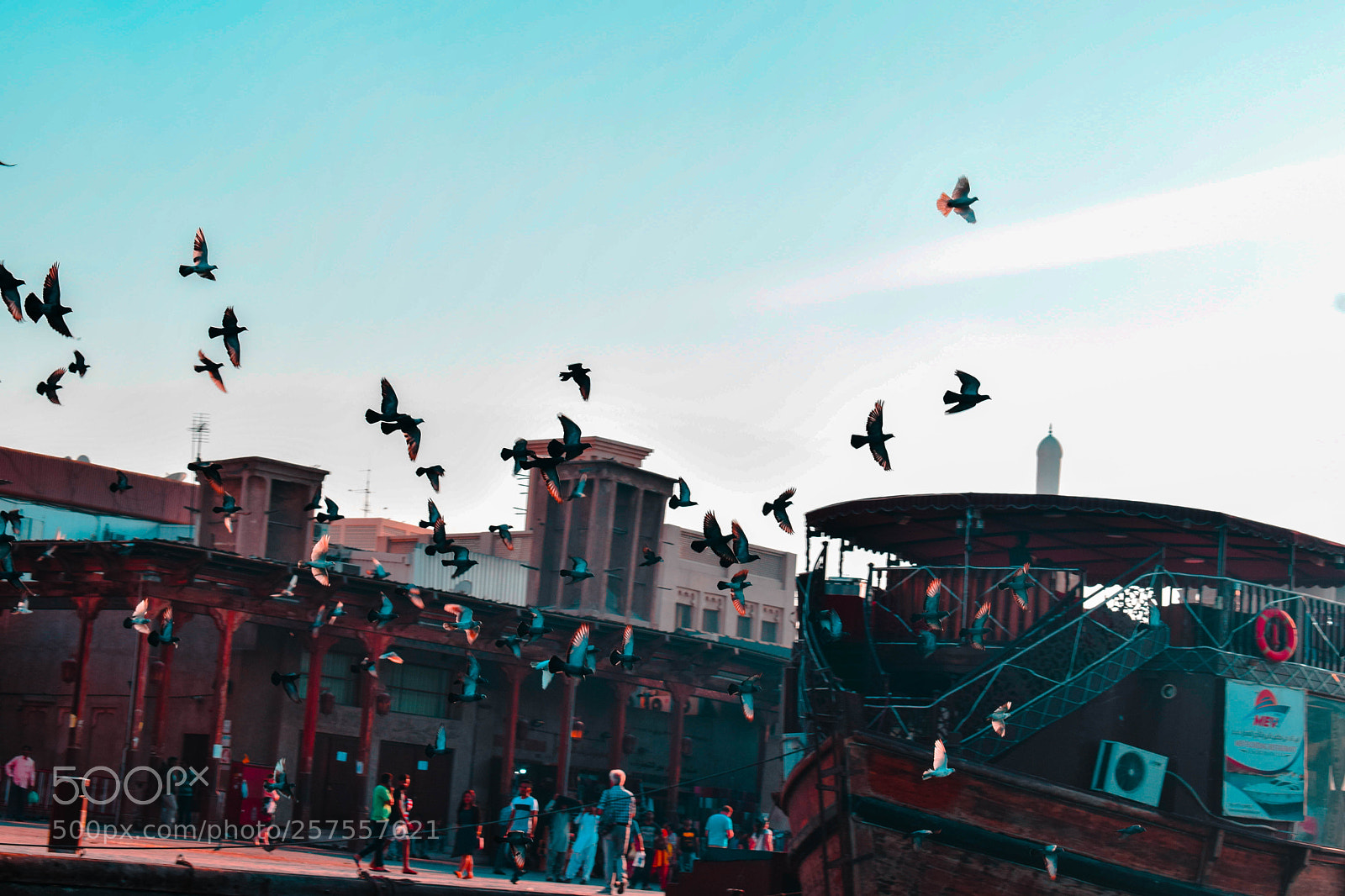Nikon D3300 sample photo. Untitled photography
