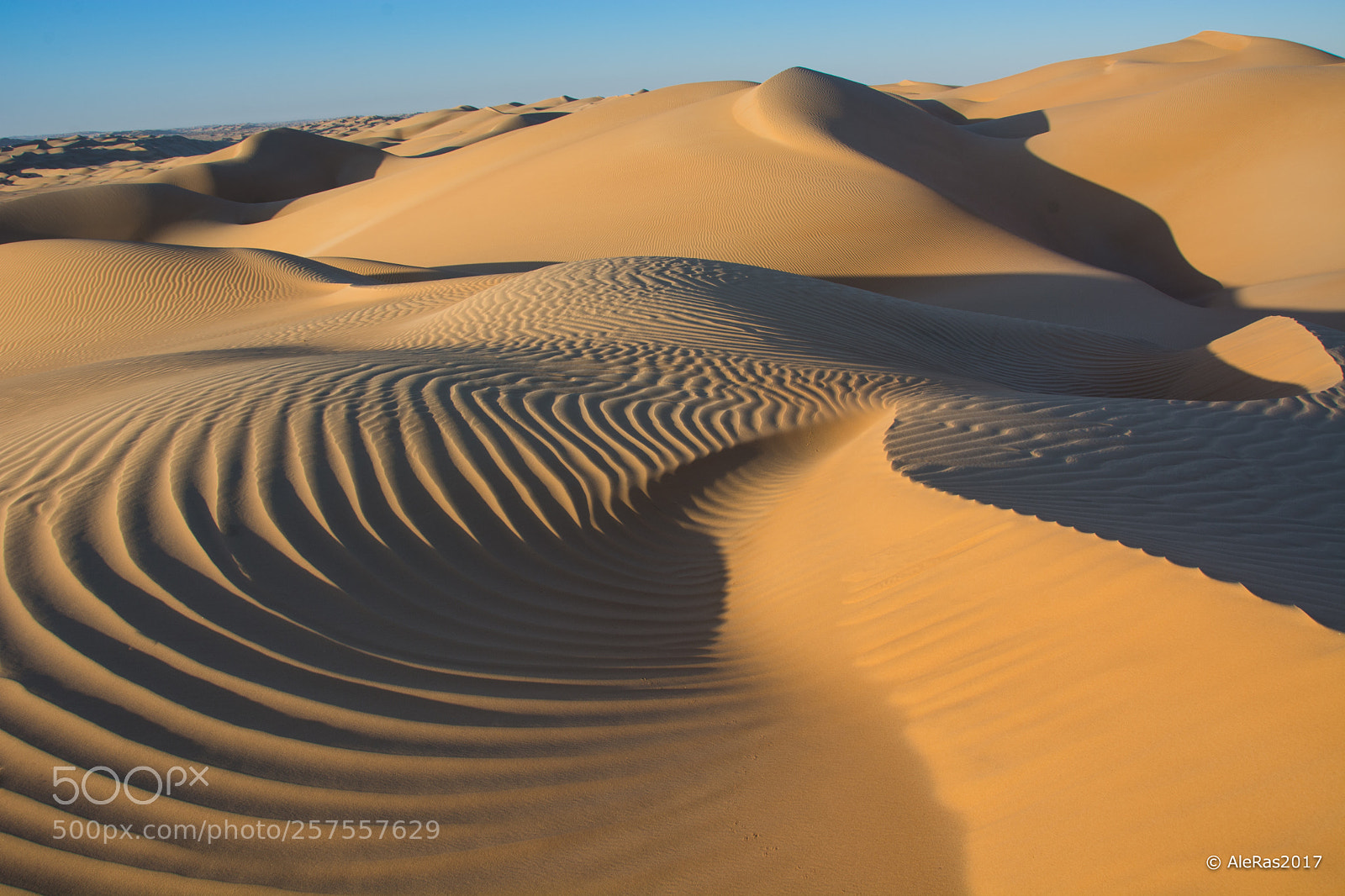 Nikon D7100 sample photo. The geometry of desert photography