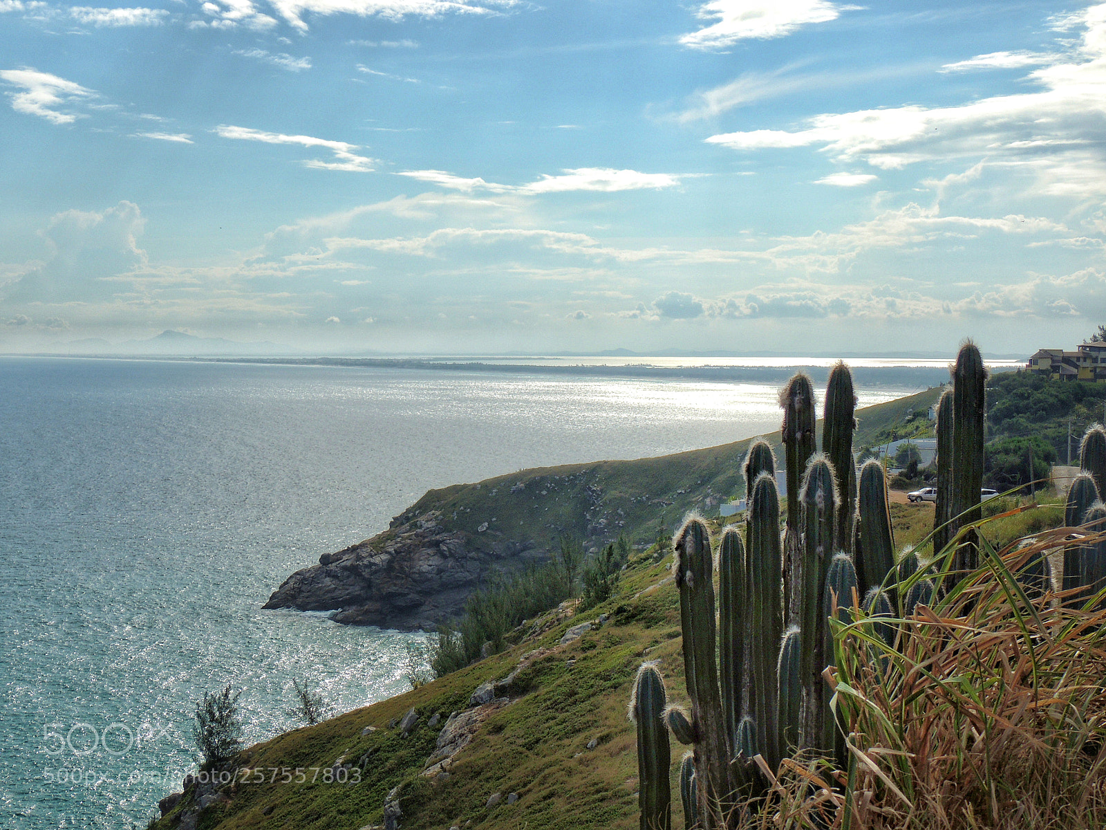 Nikon Coolpix P510 sample photo. Cactus and beach photography
