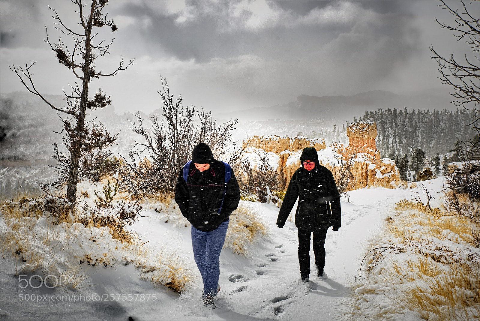 Nikon D750 sample photo. Untitled photography