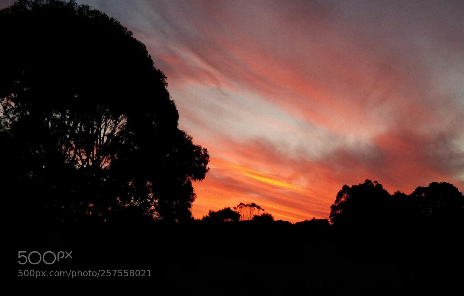 Samsung Galaxy S5 sample photo. Sunset and silhouettes at photography