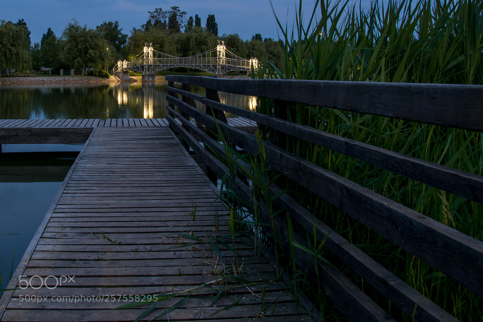 Nikon D7100 sample photo. Pier photography