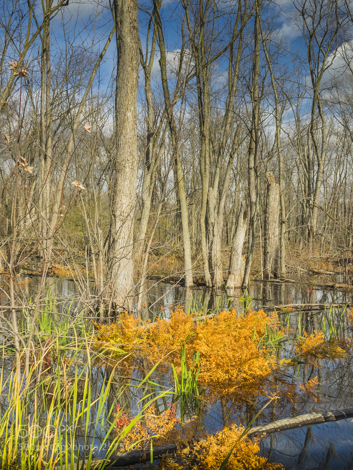 Olympus OM-D E-M1 sample photo. Autumn landscape photography