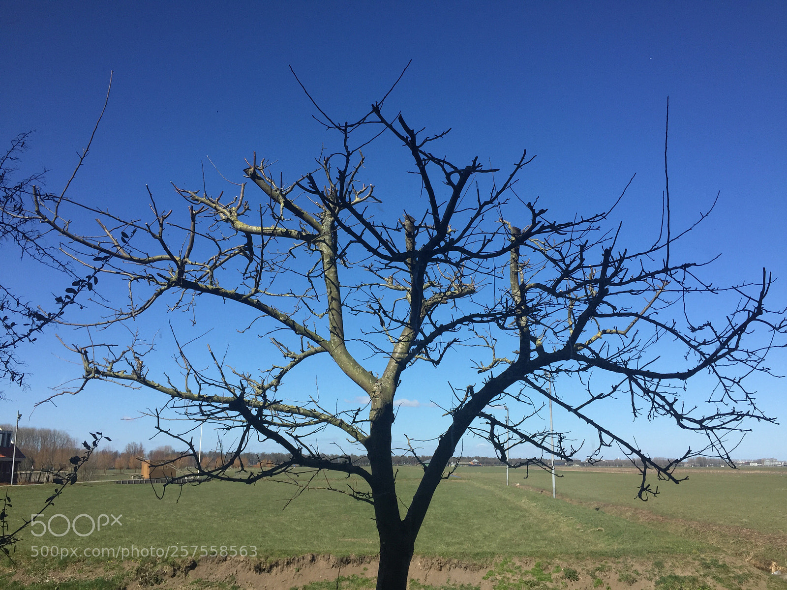 Apple iPhone 6 sample photo. Untitled photography