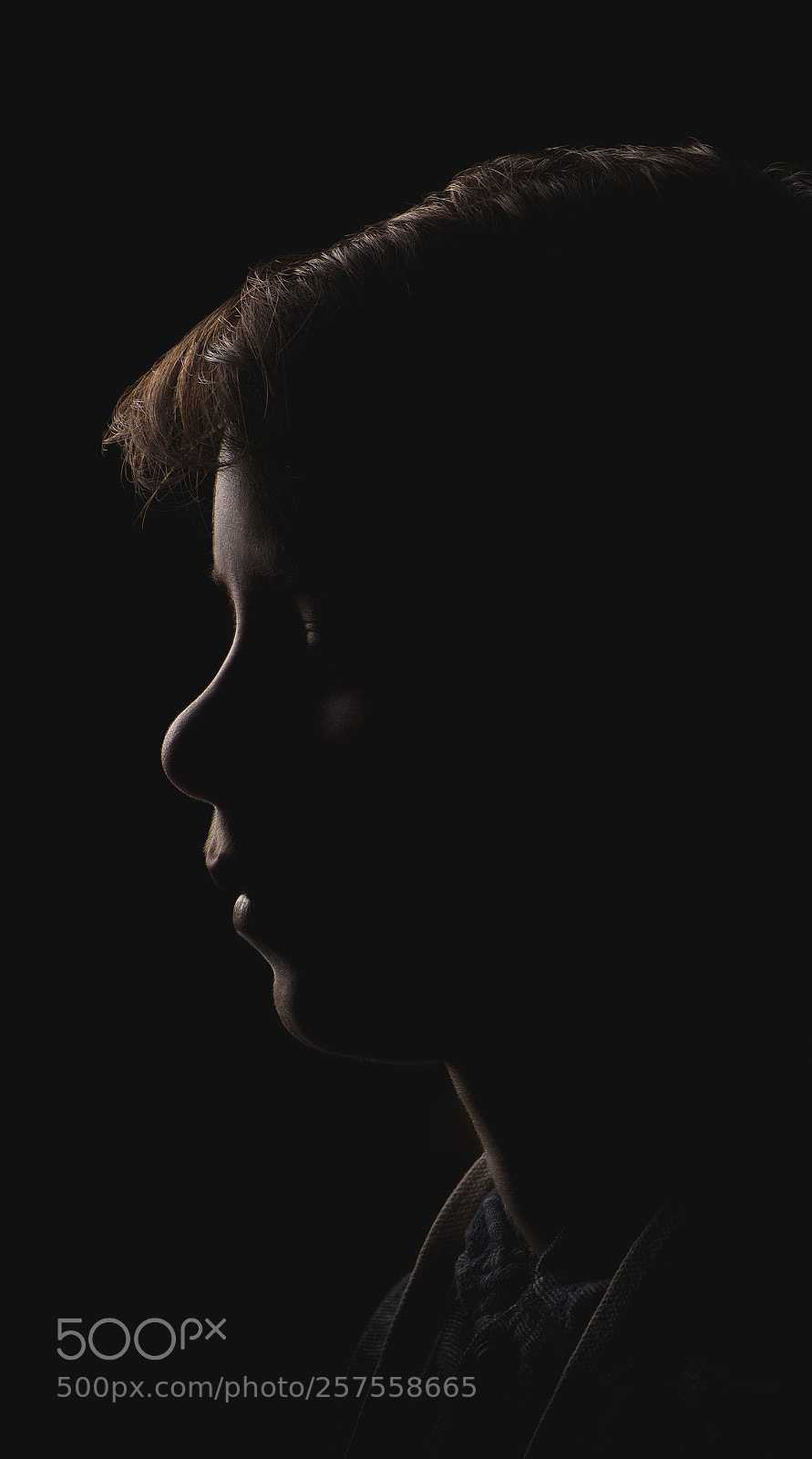 Nikon D610 sample photo. Alan photography