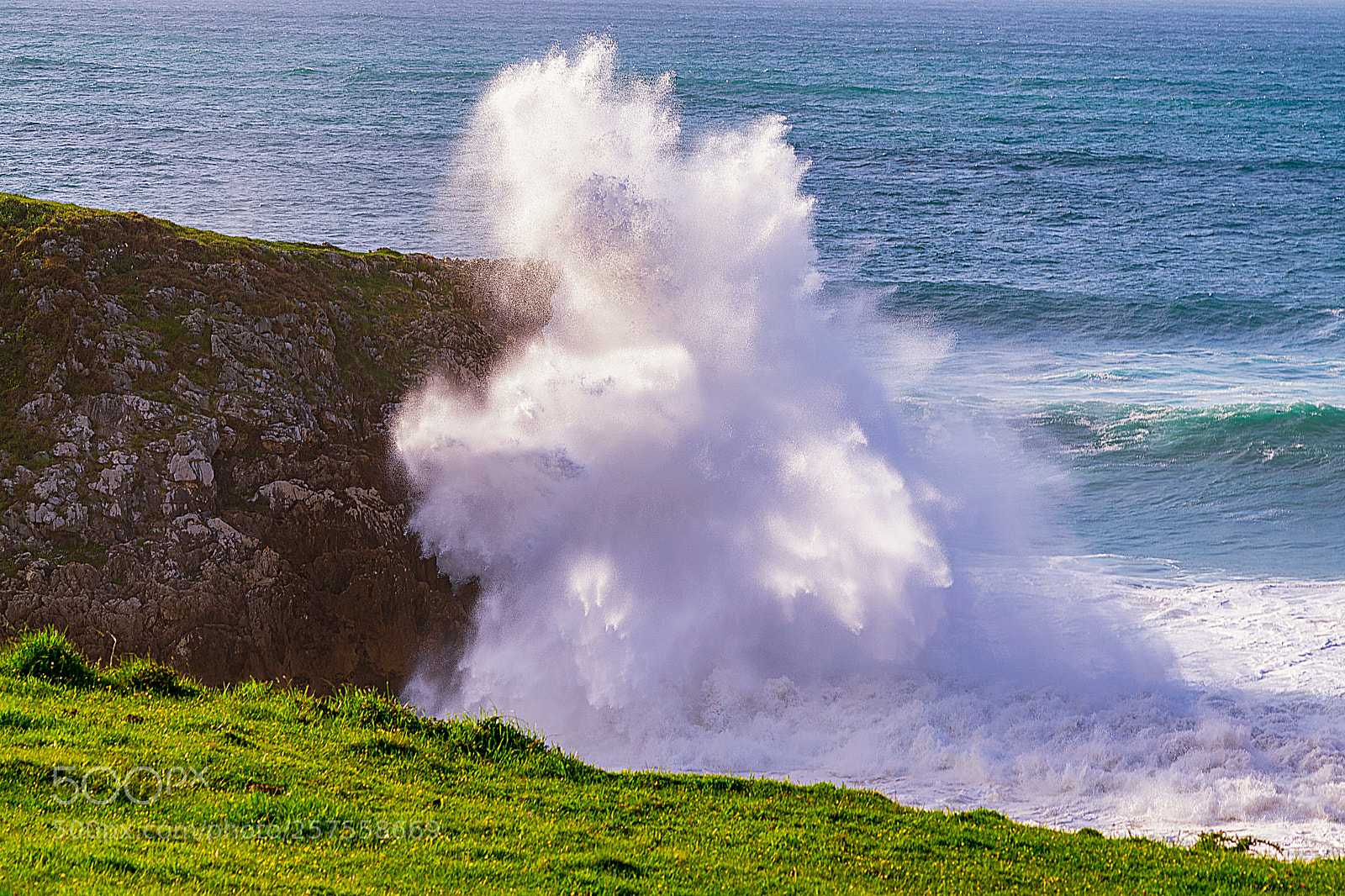 Nikon D5300 sample photo. ¡splash! photography