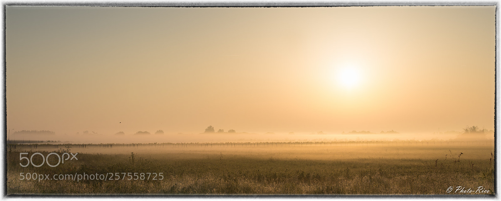 Nikon D750 sample photo. Matin brumeux photography