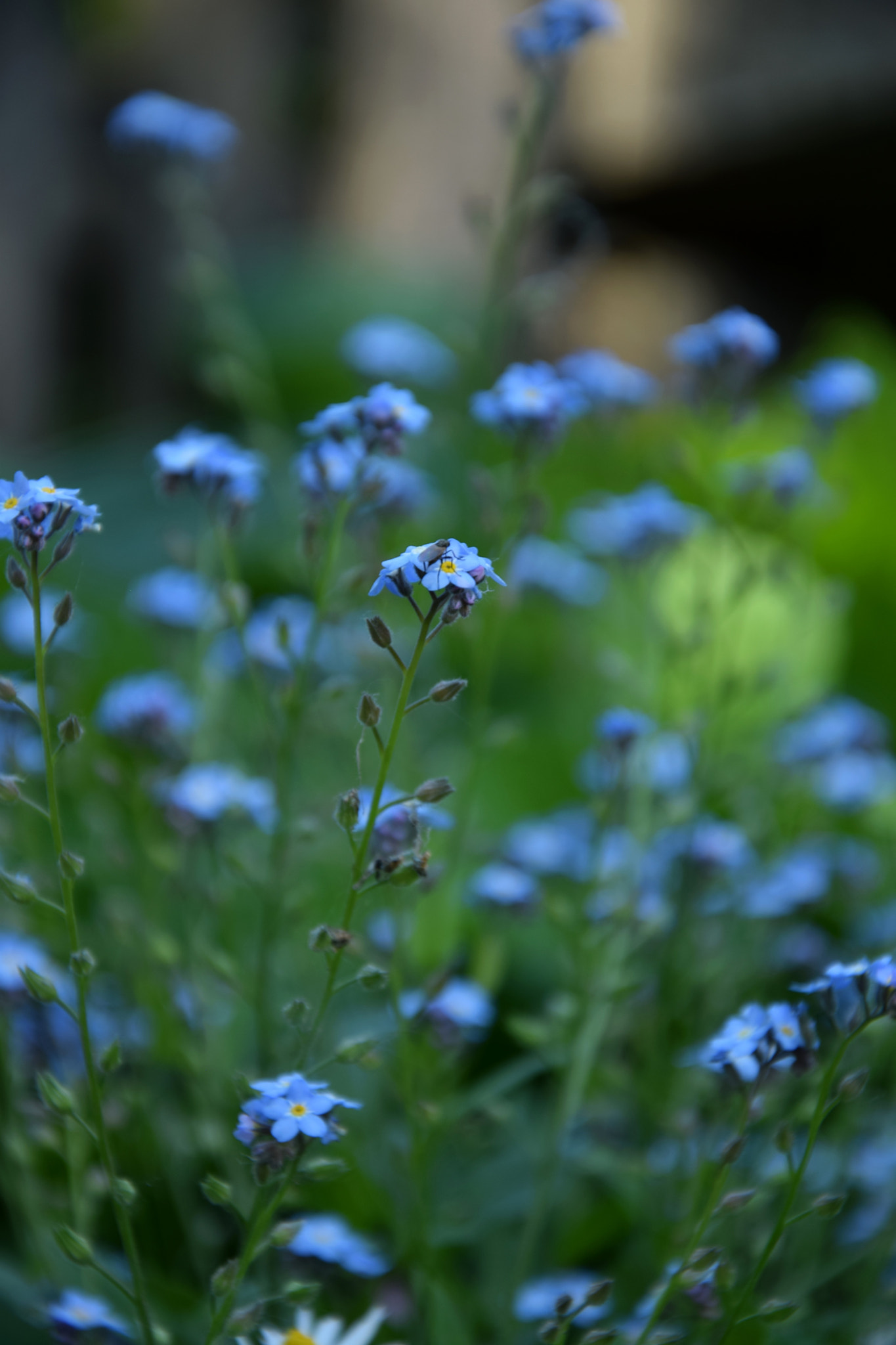 Nikon D3300 sample photo. All is blue photography