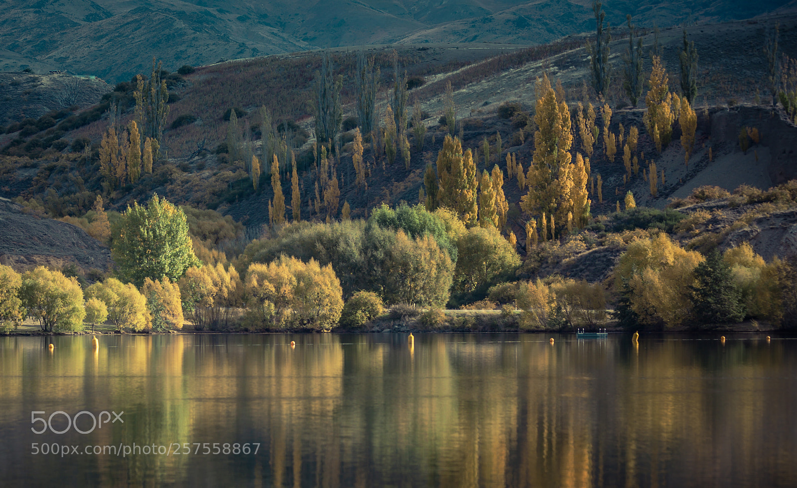 Canon EOS 5D Mark II sample photo. Golden reflection photography