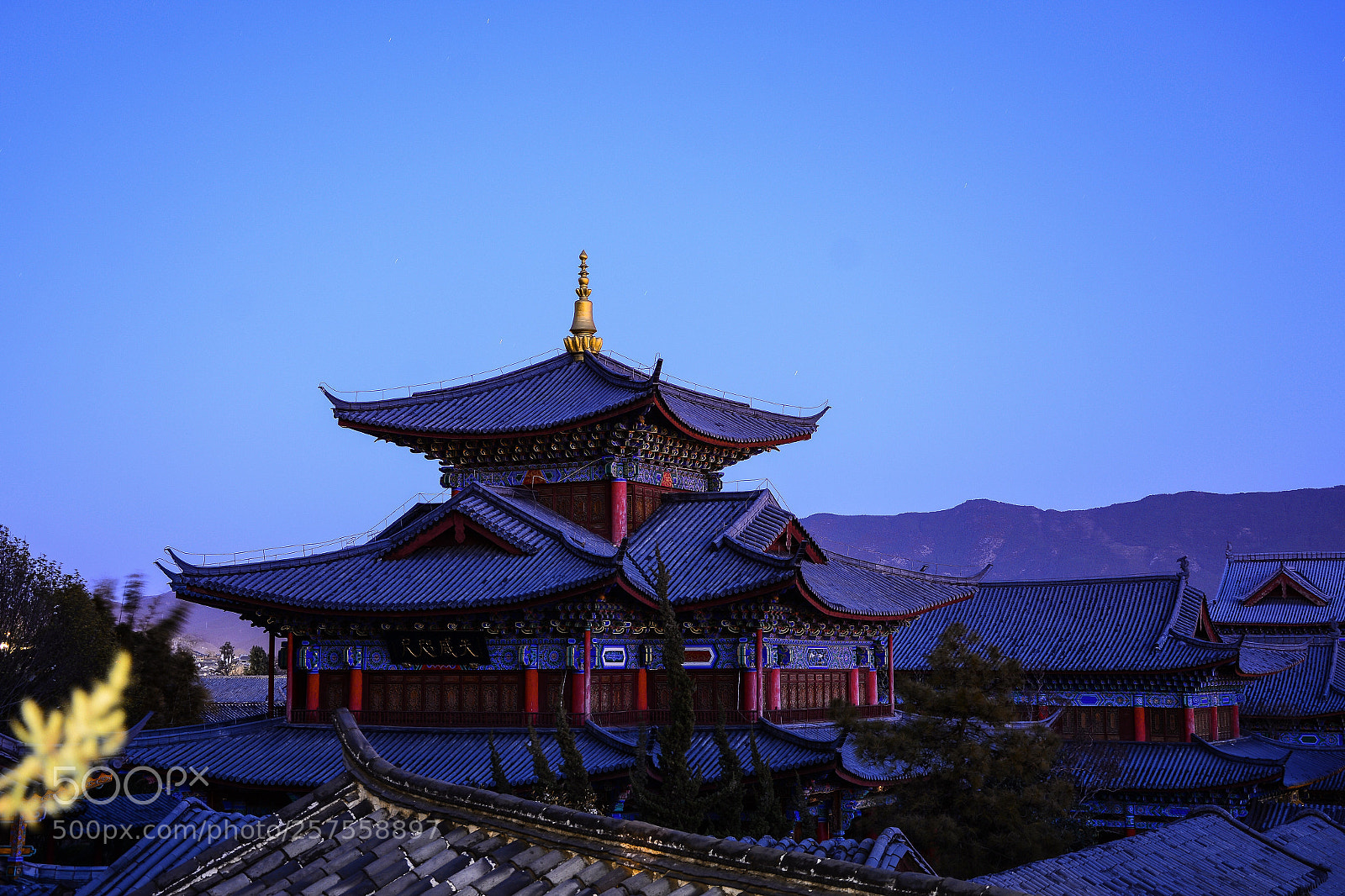 Nikon D7100 sample photo. 木府 photography